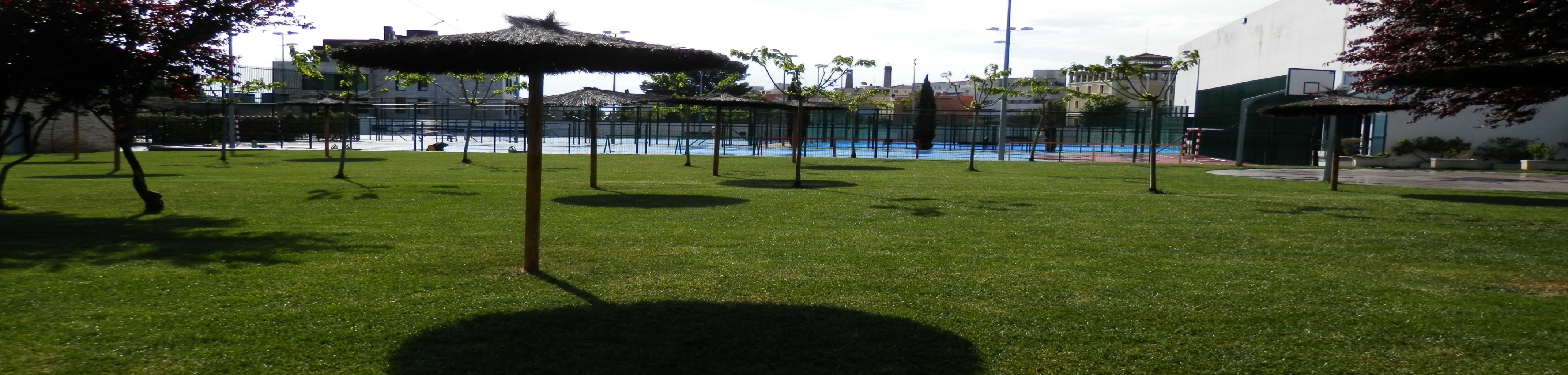 Imagen sin texto datos/uploads/P4290170.JPG